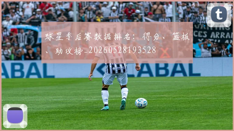 球星季后赛数据排名：得分、篮板、助攻榜_20260528193528